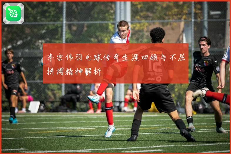 李宗伟羽毛球传奇生涯回顾与不屈拼搏精神解析