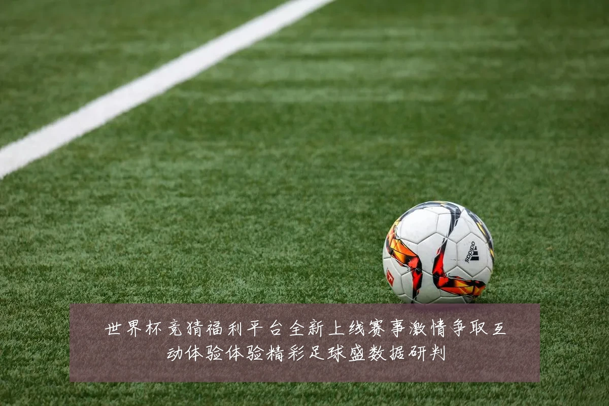 世界杯竞猜福利平台全新上线赛事激情争取互动体验体验精彩足球盛数据研判