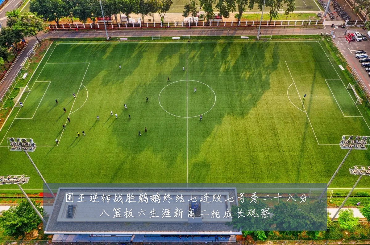 国王逆转战胜鹈鹕终结七连败七号秀二十八分八篮板六生涯新高二轮成长观察